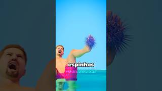 Como remover espinhos de ouriçodomar com facilidade curiosidades fatoscuriosos shorts [upl. by Amehsyt388]