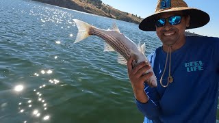 Castaic lake ca Un buen día de pesca [upl. by Valdemar]