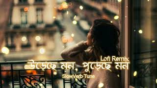 URECHE MON  উড়েছে মন  Lofi Remix  ARIJIT SINGH  Bangla lofi song  SlowVerb Tune [upl. by Oinimreh]