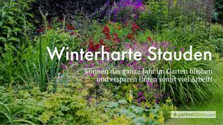 15 winterharte Stauden  inklusive Pflanz und Pflegetipps [upl. by Mccreery796]