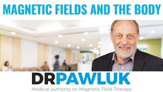 How Does Magnetic Field Therapy Work to Help the Body [upl. by Gutow843]