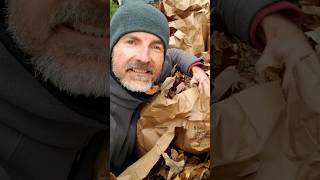 Quick Tip for Using Leaves in Compost [upl. by Coffey]