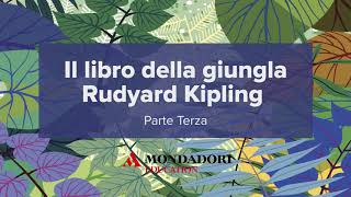 Audiolibro Il libro della giungla Parte Terza [upl. by Lativa324]