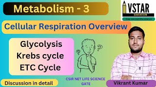 Cellular Respiration  Glycolysis  Krebs cycle  Oxidative phoshphorylation  Metabolism by vikrant [upl. by Noiwtna154]