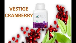 VESTIGE CRANBERRY CAPSULES USES amp BENEFITS womenhealth vestigecranberry urinarytractinfection [upl. by Lazare75]