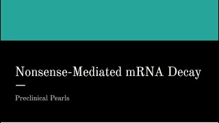 NonsenseMediated mRNA Decay [upl. by Emelin94]