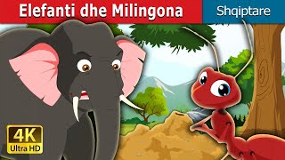 Elefanti dhe Milingona  Elephant and Ant in Albanian  AlbanianFairyTales [upl. by Stig]