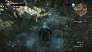 Witcher 3 How to Open Gate in Herbarium [upl. by Ireland776]