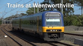 4K High Speed Trains at Wentworthville  T1 Western amp Blue Mountains [upl. by Ayoted]