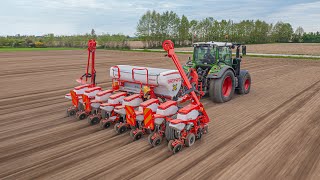 SEMINA alla GOMIERO FARM 🌱  Fendt 314 Profi Plus amp Maschio Gaspardo Chrono 8 file [upl. by Howey14]