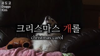 christmas bork  크리스마스 개롤 [upl. by Enneillij]