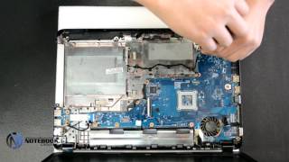 HP 255  Disassembly and cleaning [upl. by Imena]