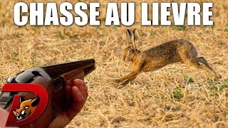 Chasse petit gibier en plaine [upl. by Sparrow]