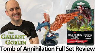 Tomb of Annihilation Minis Full Review  WizKids DampD Icons of the Realms [upl. by Nylkcaj]