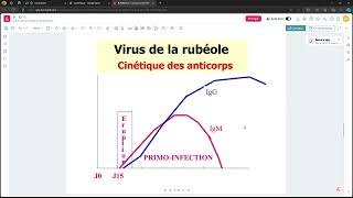 Virologie  Virus de la Rubeole FMPC [upl. by Quennie]