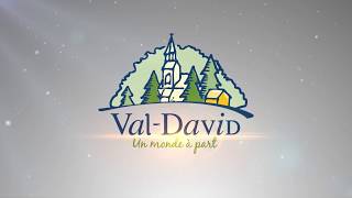 Assemblée du Conseil Municipal de ValDavid  11 juillet 2017 [upl. by Airebma71]