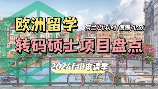 欧陆转码项目盘点（荷兰比利时德国北欧） 2024fall申请季【欧洲留学  荷励方申请干货】 [upl. by Giarc]