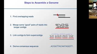 MIT CompBio Lecture 18  Genome Assembly Evolution Duplication [upl. by Nileuqay]