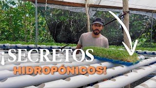 ¡Sembrando Cilantro Las 6 Tareas Más Difíciles En Una Finca Hidropónica  Episodio 3 [upl. by Senilec343]