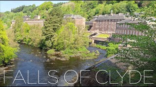 Inverclyde Ramblers  Falls of Clyde New Lanark 13 May 2023 [upl. by Yanahc]