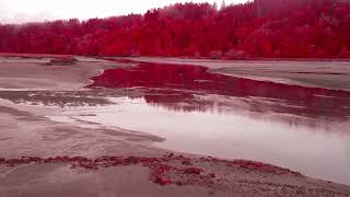 mount shrine foghorn nisqually wildlife refuge part 3 [upl. by Glaser]