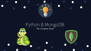 Python and MongoDB  The Complete Guide  Learn to use MongoDB in your Python Application [upl. by Nivrad]