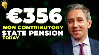 GET READY SENIORS  €356 NON CONTRINUTORY STATE PENSION FOR IRELANDS SENIORS  COMING TODAY [upl. by Karlotta]