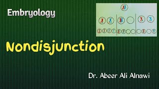 7 Embryology Nondisjunction  Dr Abeer Ali Alnawi [upl. by Yecniuq]