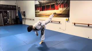 Poomsae Koryo Tutorial StepByStep [upl. by Alarick54]