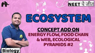 Ecosystem Class 12 Biology NEET  NCERT Chapter 12  Food chain amp Web Ecological Pyramids 2 [upl. by Aneeles]