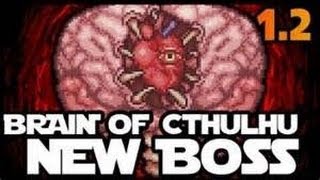 Terraria 12  Brain of Cthulhu Drops amp fight [upl. by Ginny458]