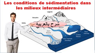 Conditions de sédimentations dans les milieux marins svt 1 bac sc ex biof شرح بالداريجة [upl. by Kowtko]