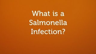 What is a Salmonella Infection Contaminated Food or Water [upl. by Prudi2]