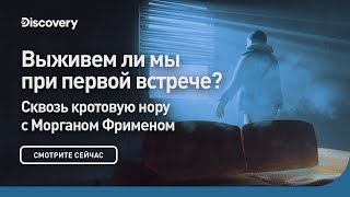 Выживем ли мы при первой встрече  Сквозь кротовую нору с Морганом Фрименом  Discovery [upl. by Daphene]