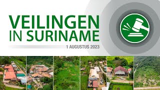 Veilingen in Suriname • Augustus 2023 [upl. by Nnylaf]