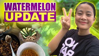 My last visit at my farm before I leave 🥲My watermelon updates Life of a remote village girl [upl. by Meirrak]