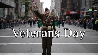 The History of Veterans Day [upl. by Kerwon]