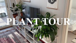 Plant tour  Winter plant care  Living alone in Helsinki [upl. by Karab]