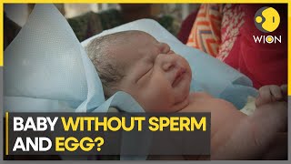 Baby without sperm and egg Scientists create synthetic human embryos in major leap  WION [upl. by Bruell451]