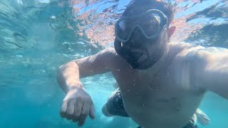 Snorkelling Playa De Troya Tenerife [upl. by Daffy86]