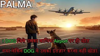 A Dog Named Palma 2021 Movie Explained in Hindi  Summarized in हिन्दी [upl. by Trauner905]