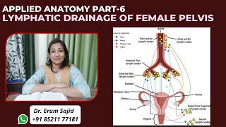 Lymphatic Drainage of Female Pelvis  DNB Theory Class  DNB OBGYN coaching All India chapter [upl. by Claribel]