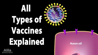 All Types of Vaccines How They Work Animation [upl. by Snapp695]