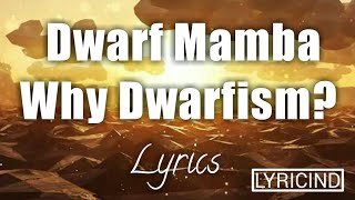 Dwarf Mamba Why Dwarfismlyric video [upl. by Anesuza]