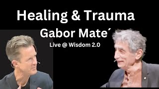 Gabor Maté Interview  Wisdom 20 with Soren Gordhamer [upl. by Aikar]