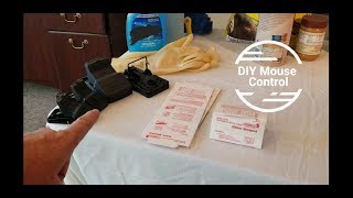 DIY Rodent Control setup tips for sticky trap snap trap and live catch trap [upl. by Icrad474]