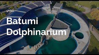 Dolphin Show in Batumi FULL VIDEO  Sea Worlds Dolphin Show Live [upl. by Nyladnor]