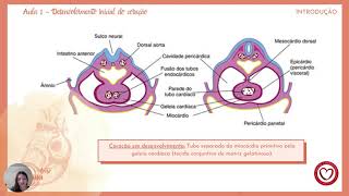 Módulo Embriologia  Aula 1  Desenvolvimento Inicial do Coração [upl. by Lunnete]