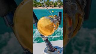 Saltwater Fishing Tips that you NEED to Know shorts fishing fishingtips [upl. by Havard978]