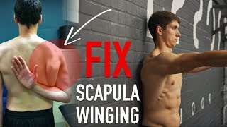 Fix Scapula Winging FULL ROUTINE [upl. by Saalocin]